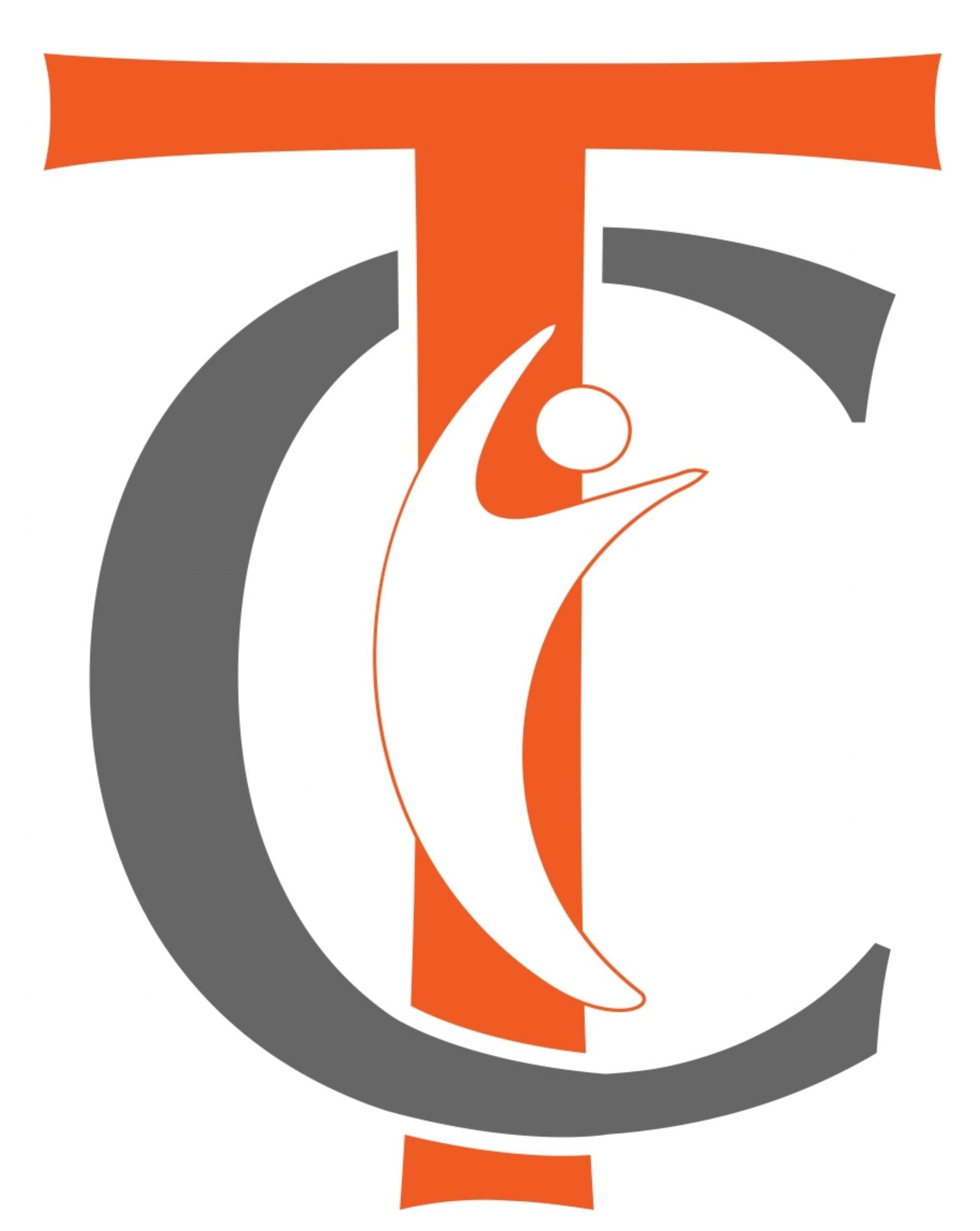 Transition Consults, LLC Logo